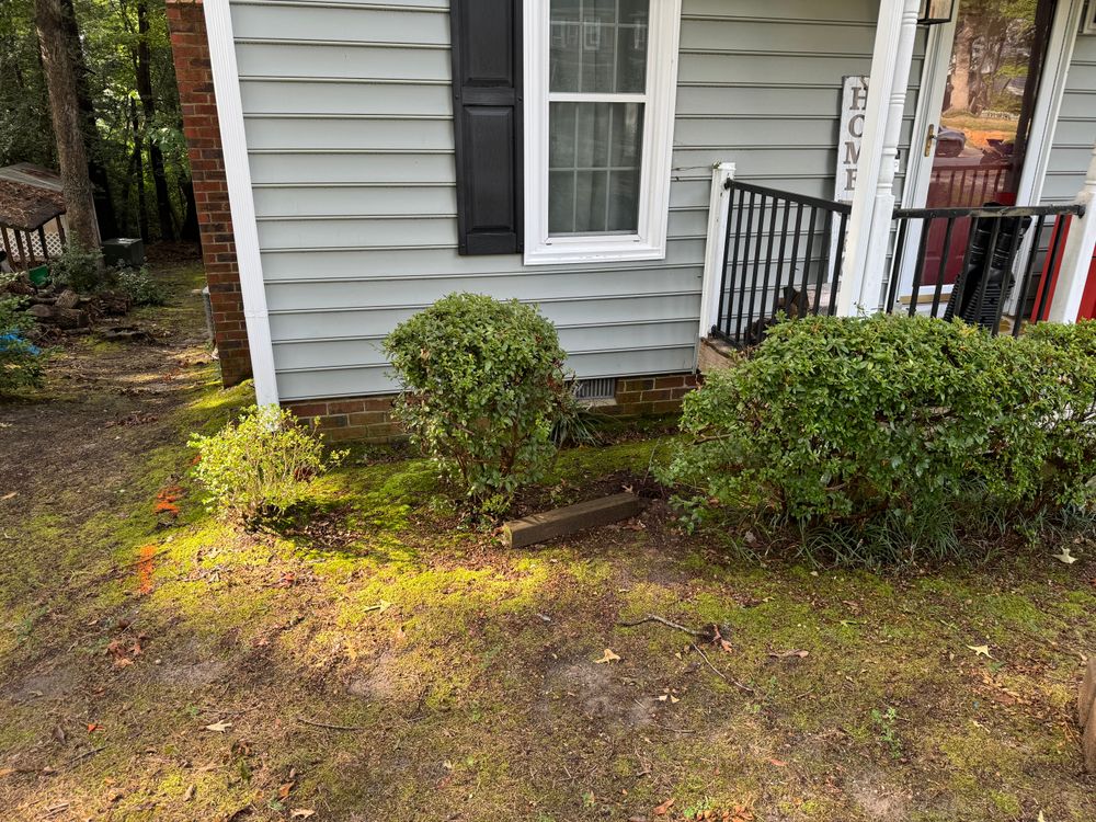 All Photos for Robbie's Lawn & Landscape in Chesterfield, VA