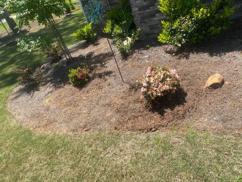 Mulching for America's Top Pick Lawn & Landscaping in Gastonia, NC