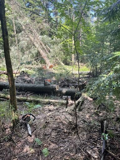 All Photos for Andy Naylor Excavation in Johnson, VT