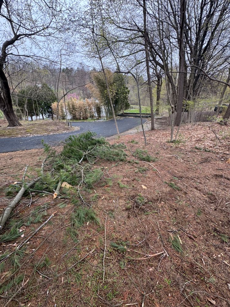 All Photos for Landscape & Lawn Care Pros in Reading, PA