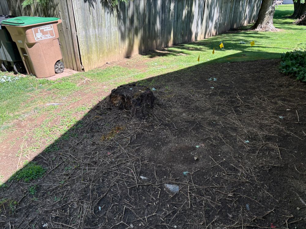 All Photos for Conrad's Stump Removal in Columbus, IN
