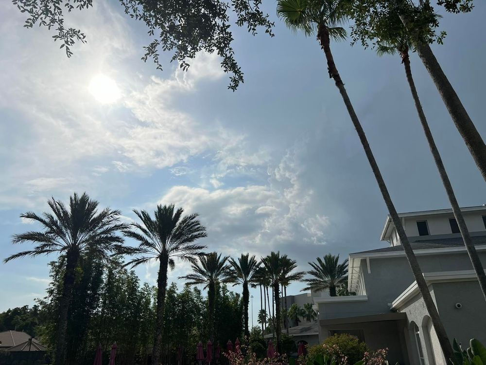 Tree Removal for TREE BOYS in Ruskin, FL
