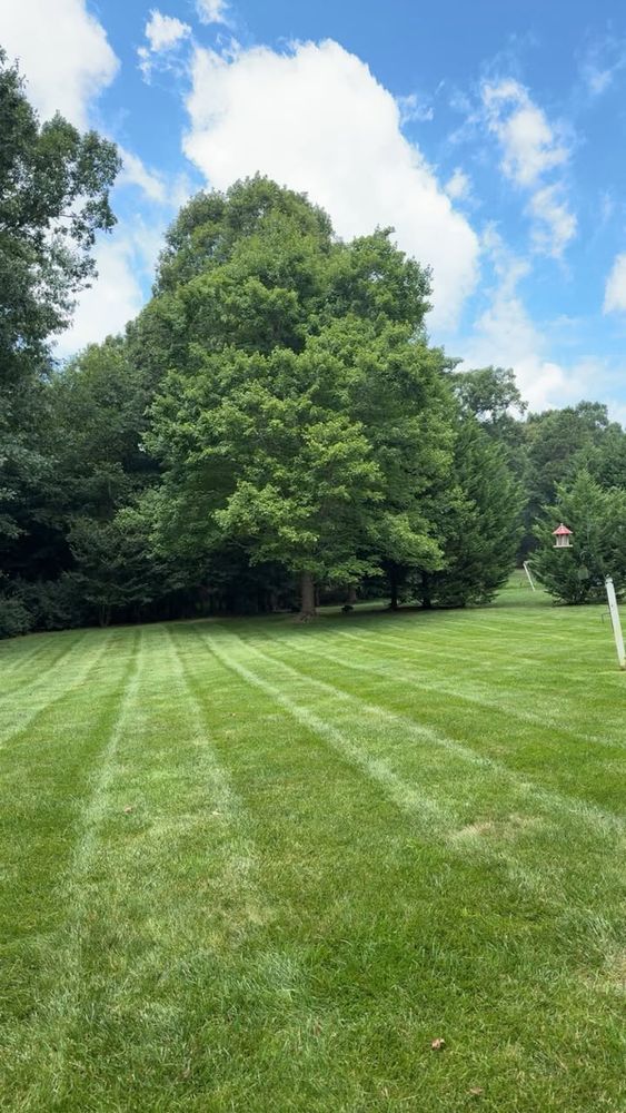 All Photos for C + C Landscaping in Chesterfield, VA