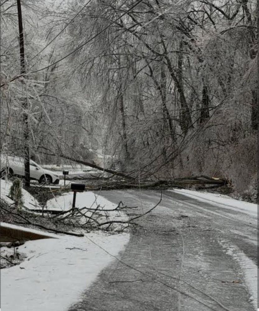 All Photos for Russell's Lawn Care Plus in Nashville, TN