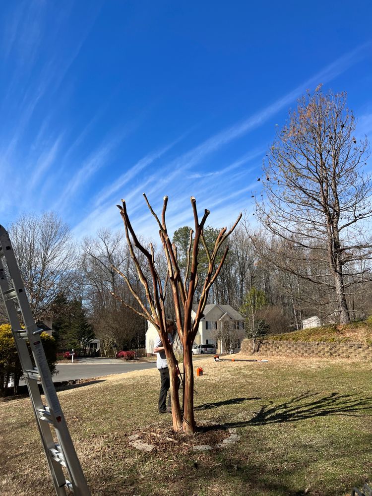 All Photos for Atlas Home Services in Mechanicsville, VA