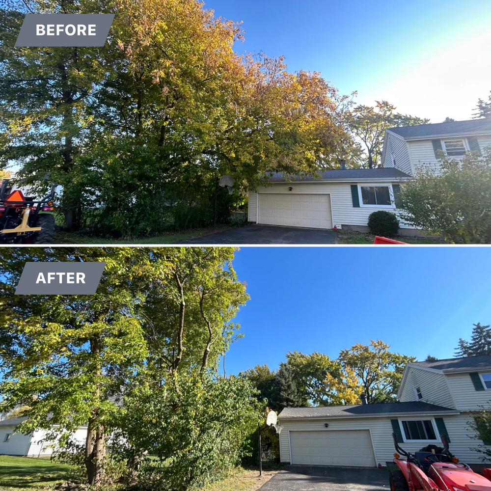 All Photos for S.H. Tree Service LLC in Hilton, NY