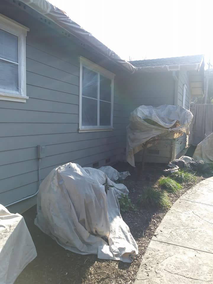 All Photos for Proyecto Bay Painting in Pittsburg, CA