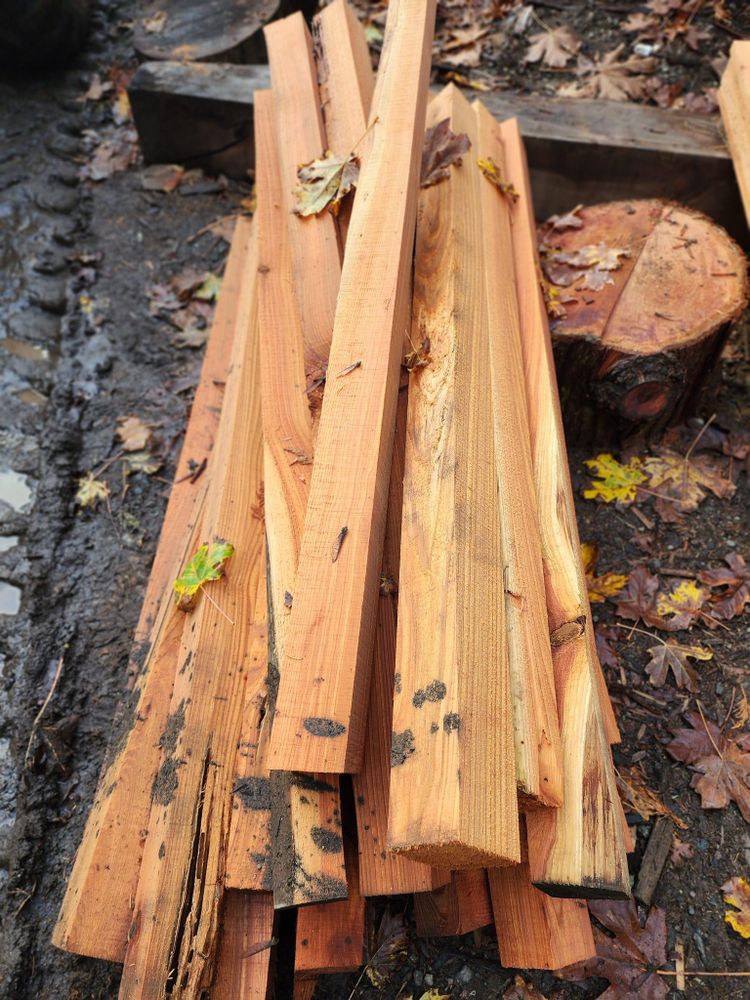 All Photos for The Baskins Sawmill in Port Angeles,  WA