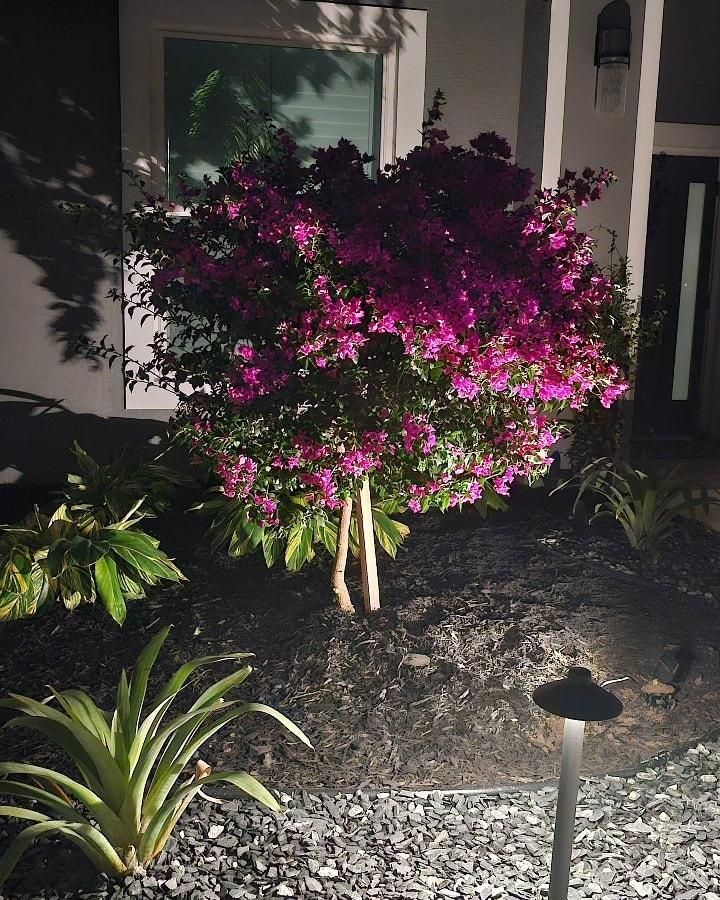 All Photos for Natural View Landscape, Inc.  in Loxahatchee, FL