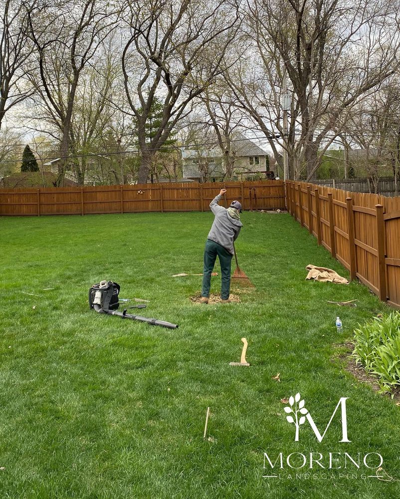 Tree Removal for Moreno Landscaping in Mundelein, IL