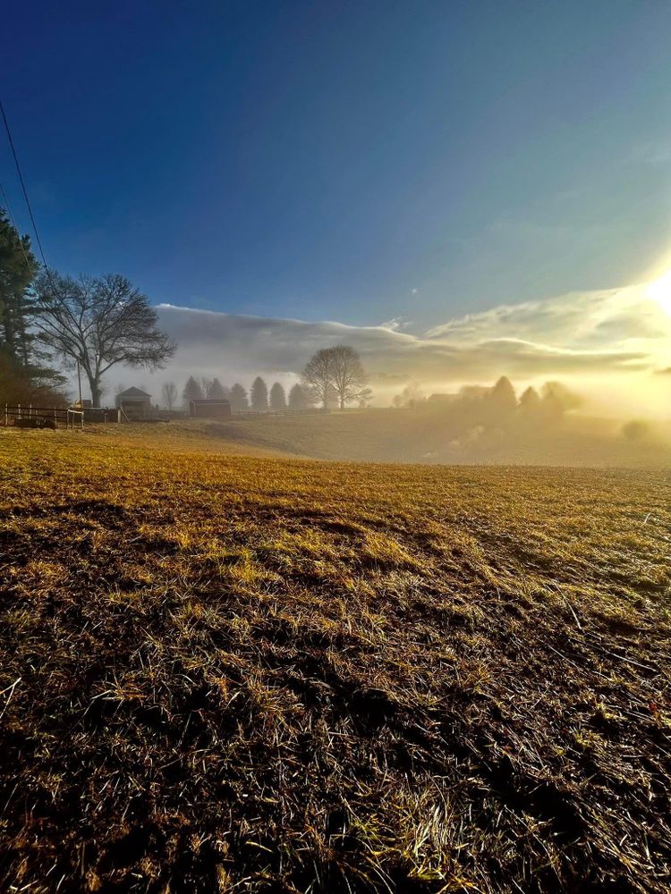 All Photos for NRV Tree Pro, LLC in Narrows, VA