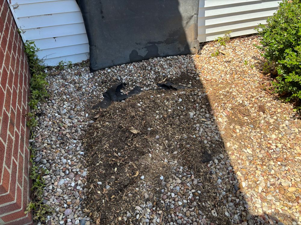 All Photos for Conrad's Stump Removal in Columbus, IN