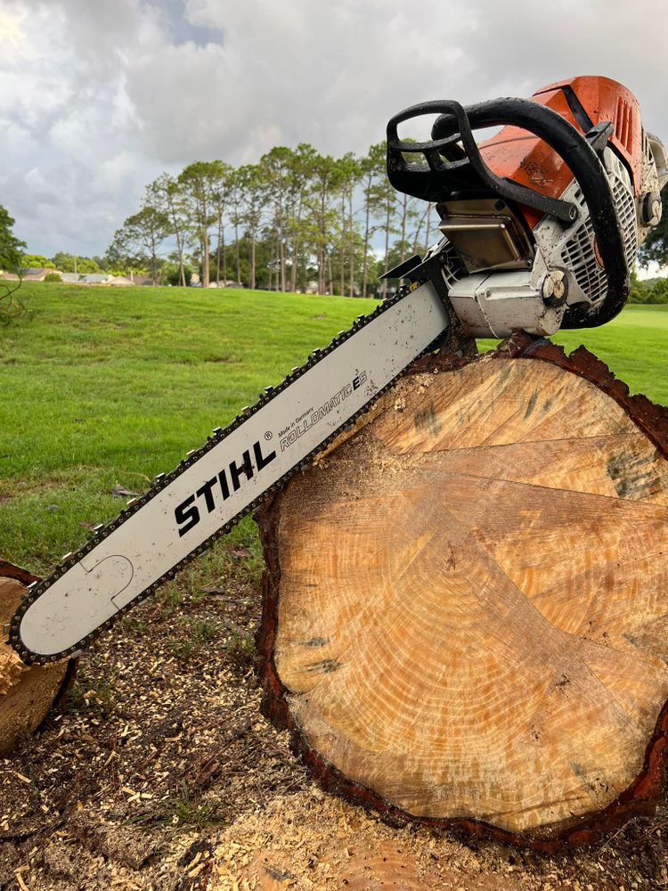 All Photos for Ryker's Tree Service in Dunedin, FL