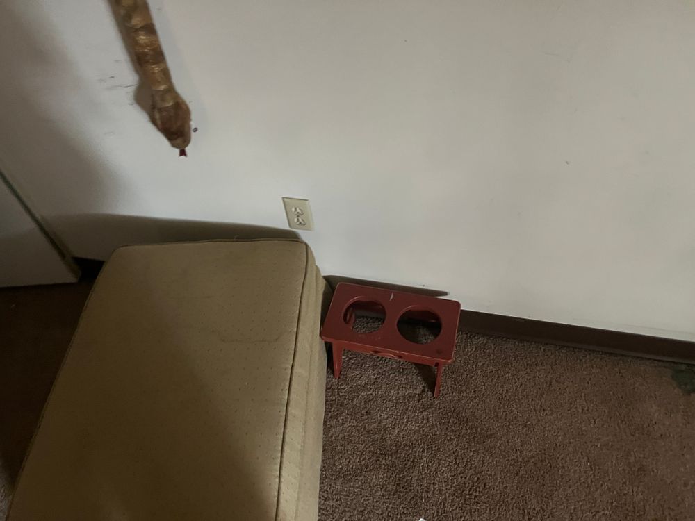 All Photos for Duluth Pro Junk Hauling Removal Service in Duluth, MN