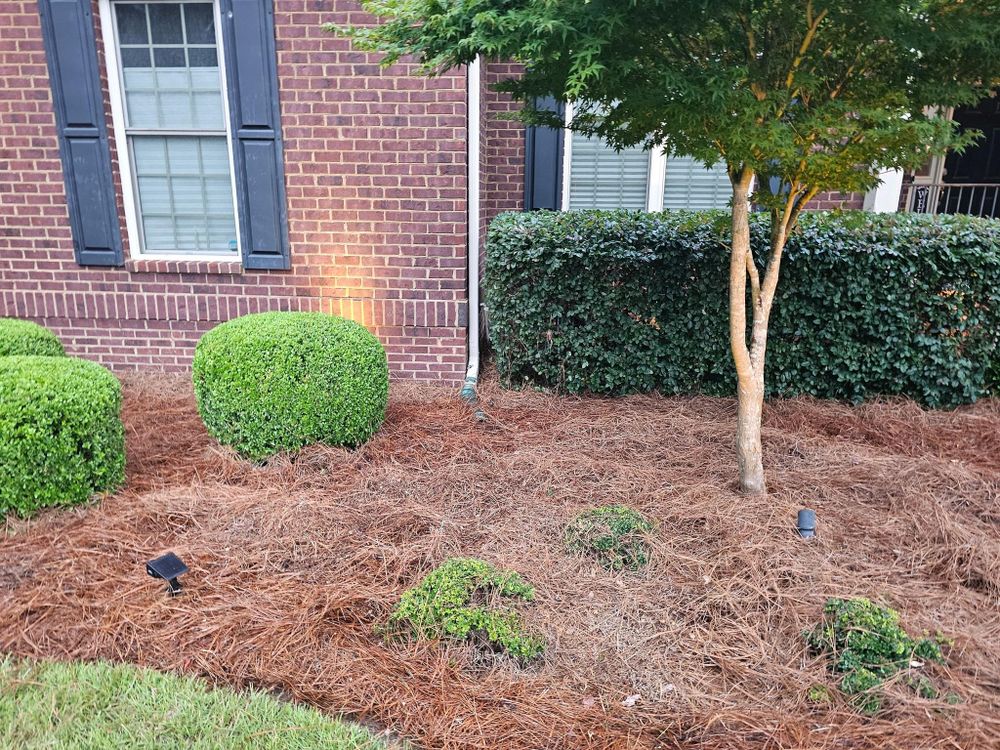 All Photos for 1 Man Does It Lawn Service in Blythewood, SC