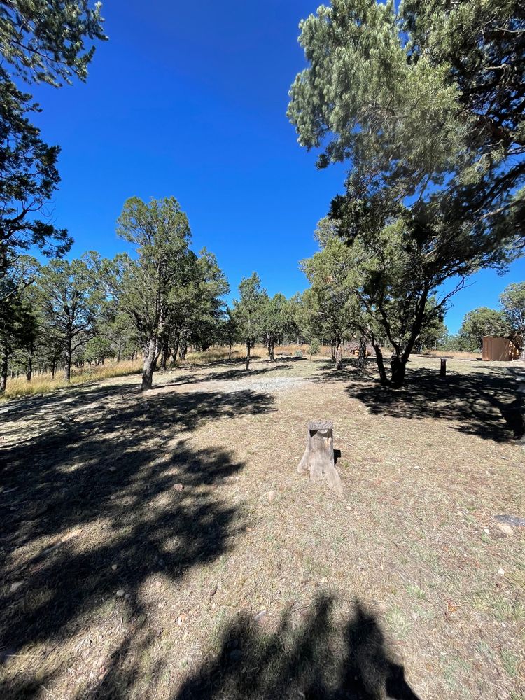 All Photos for G&B Yard Service in Ruidoso Downs, NM
