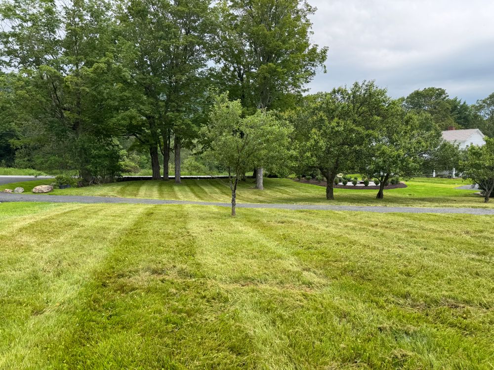 Lawn Care for Jack Of All Blades in Windsor County, VT