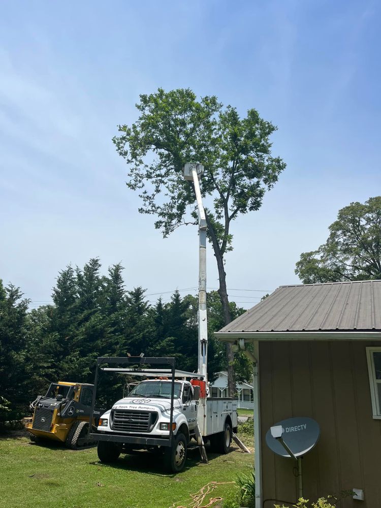 Tree Removal for Big Rock Tree Removal LLC in Boaz, AL