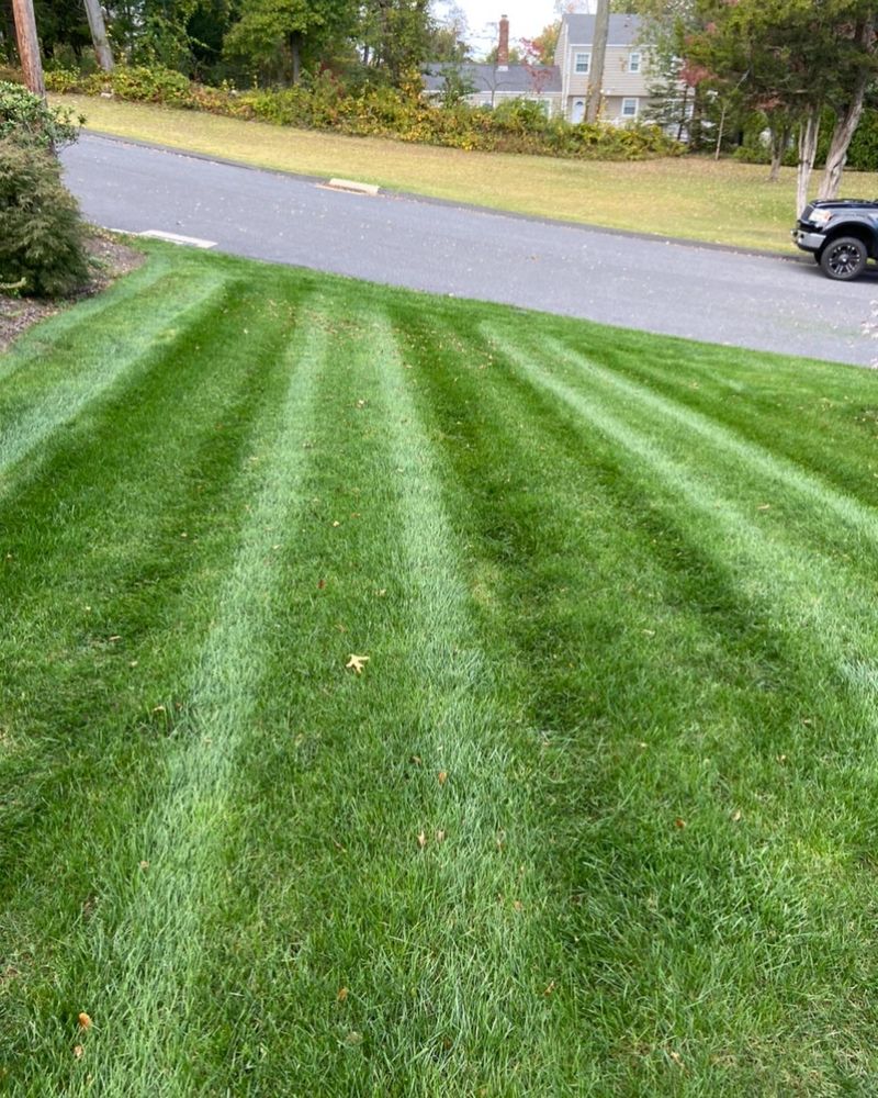 Lawn Maintenance  for Ace Landscaping in Trumbull, CT