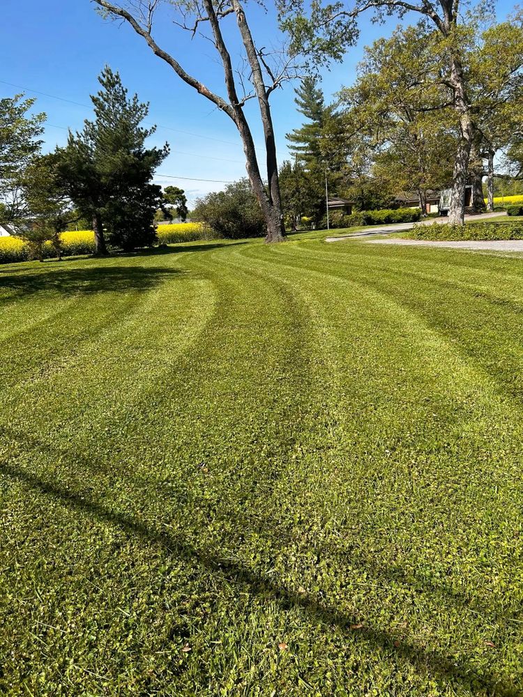 Lawn Care for Bailey’s Lawn Care & Dirt Service in Murray, KY