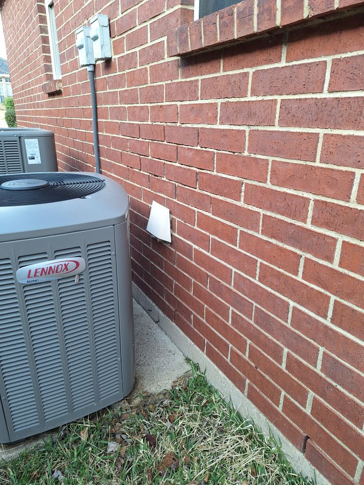 All Photos for Connected Exterior Cleaning in Mesa, AZ