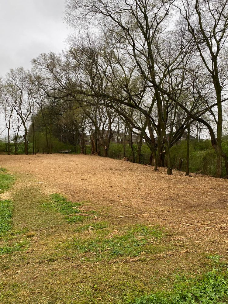 All Photos for Green Land Management in Mount Pleasant, TN