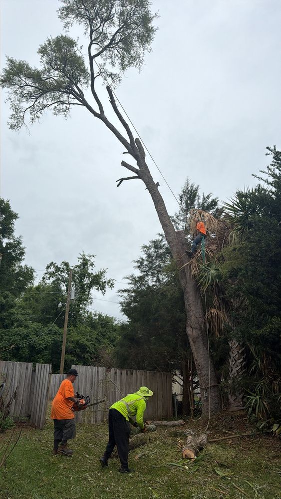 All Photos for All Around Guys Tree Service in Ocala, FL