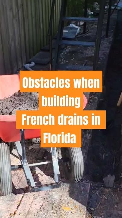 All Photos for Sam's French Drains and Landscape in Orlando, Florida