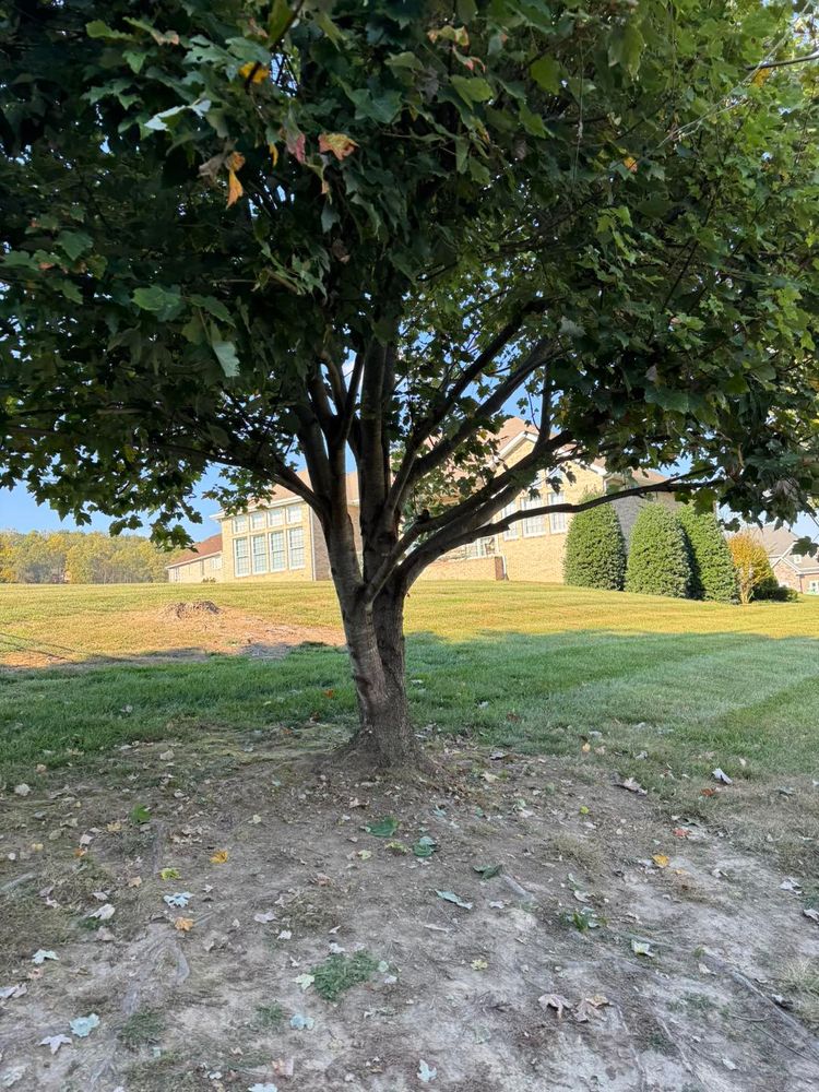 All Photos for Legends Lawn Care in Johnson City, TN