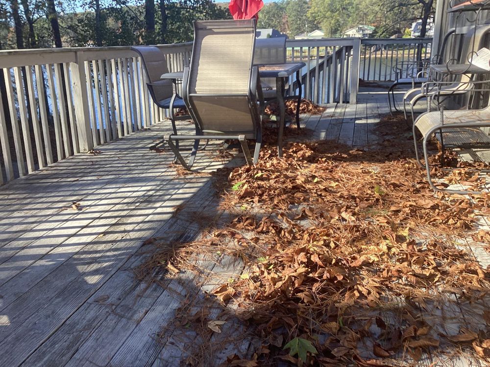 All Photos for Xtreme Landscaping & Lawn Care in Lincoln, AL