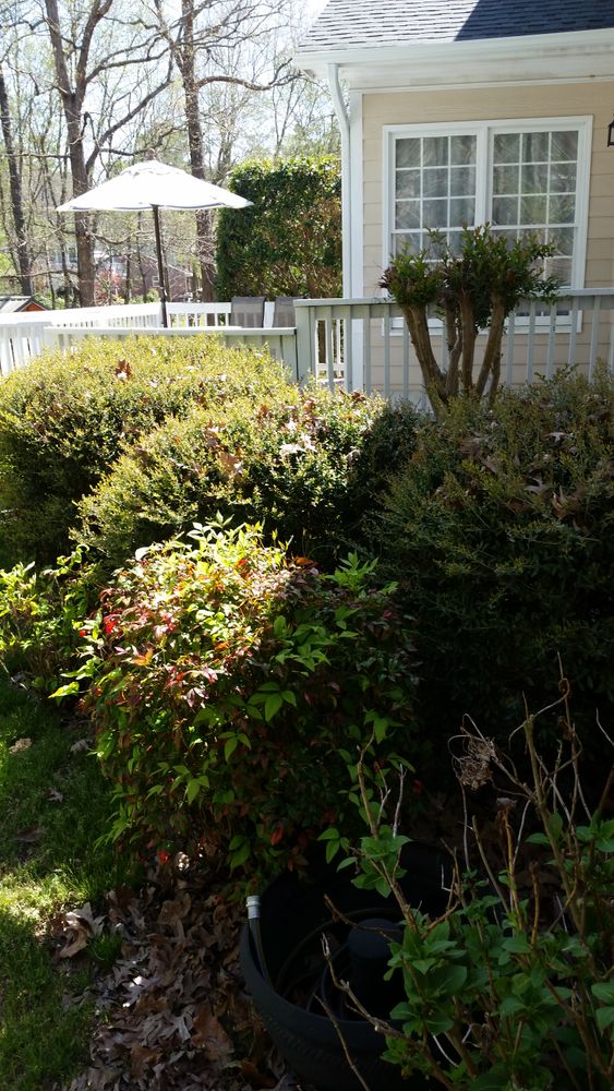 All Photos for Mancinas Home Improvement, Landscaping, & Lawn Care in Fayetteville, NC