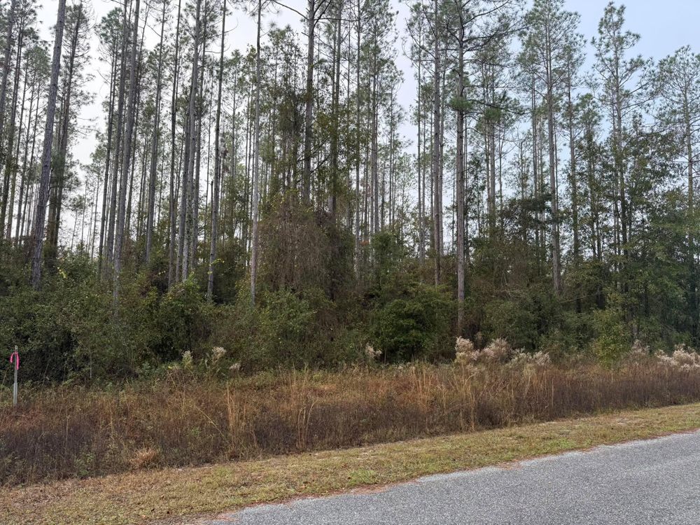 All Photos for C&C Excavating in Live Oak, FL