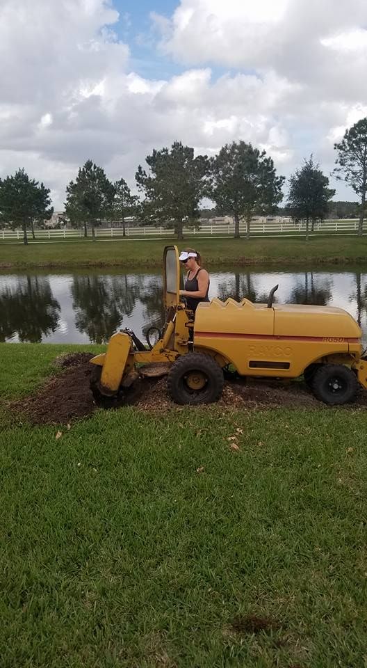 Other Services for Spruce Creek Tree Service in Port Orange, FL