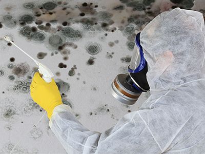 Our Mold Restoration service efficiently removes mold, safeguards your home from future growth, and ensures a healthy living environment by combining advanced techniques with our expertise in painting and renovations. for DYH Restoration LLC in Tolleson, AZ