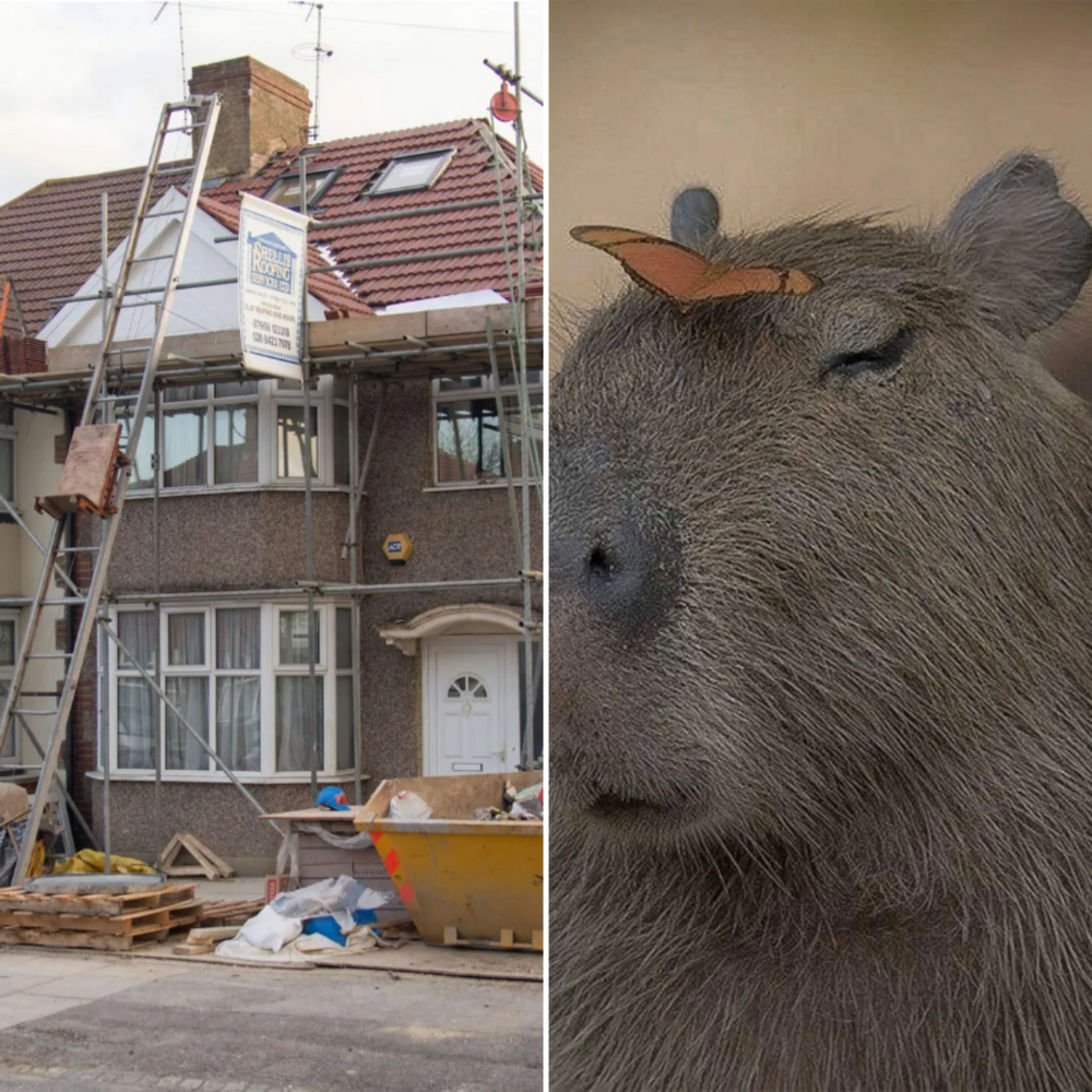 All Photos for Down Dog Yoga in Boston, MA