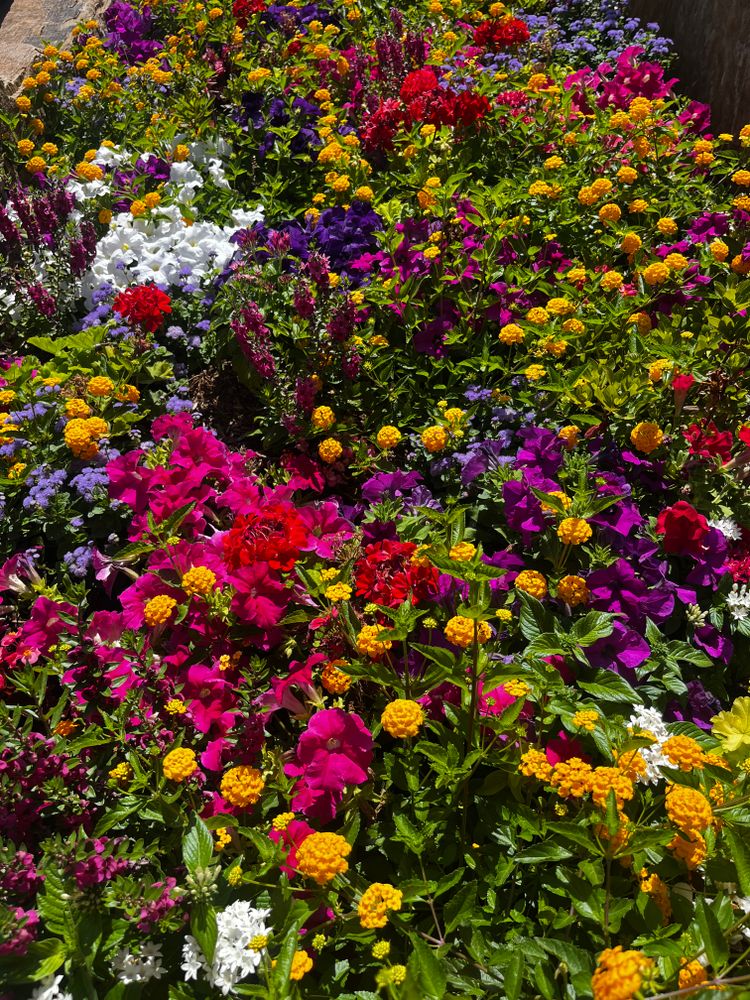 All Photos for Urban Lawn & Landscape in Oklahoma City, OK