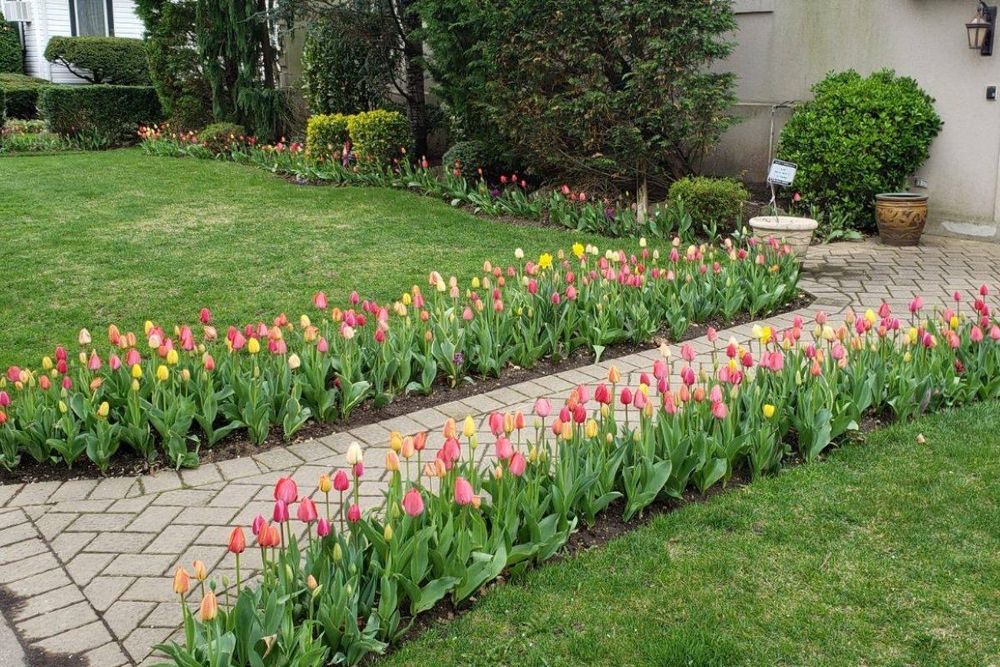 All Photos for Elegant Lawns & Landscaping in Inwood, NY