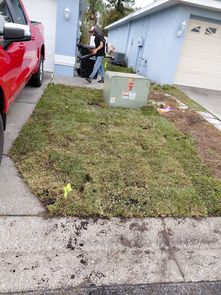 All Photos for Gulf Bay Sod in Clearwater, FL