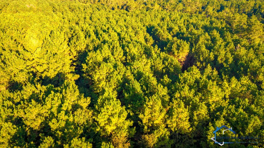 All Photos for Superior Home Builders in Livingston, TX