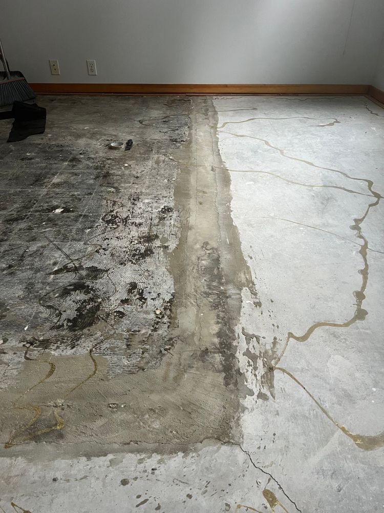 All Photos for Dib 896 Flooring in Dearborn Heights, MI