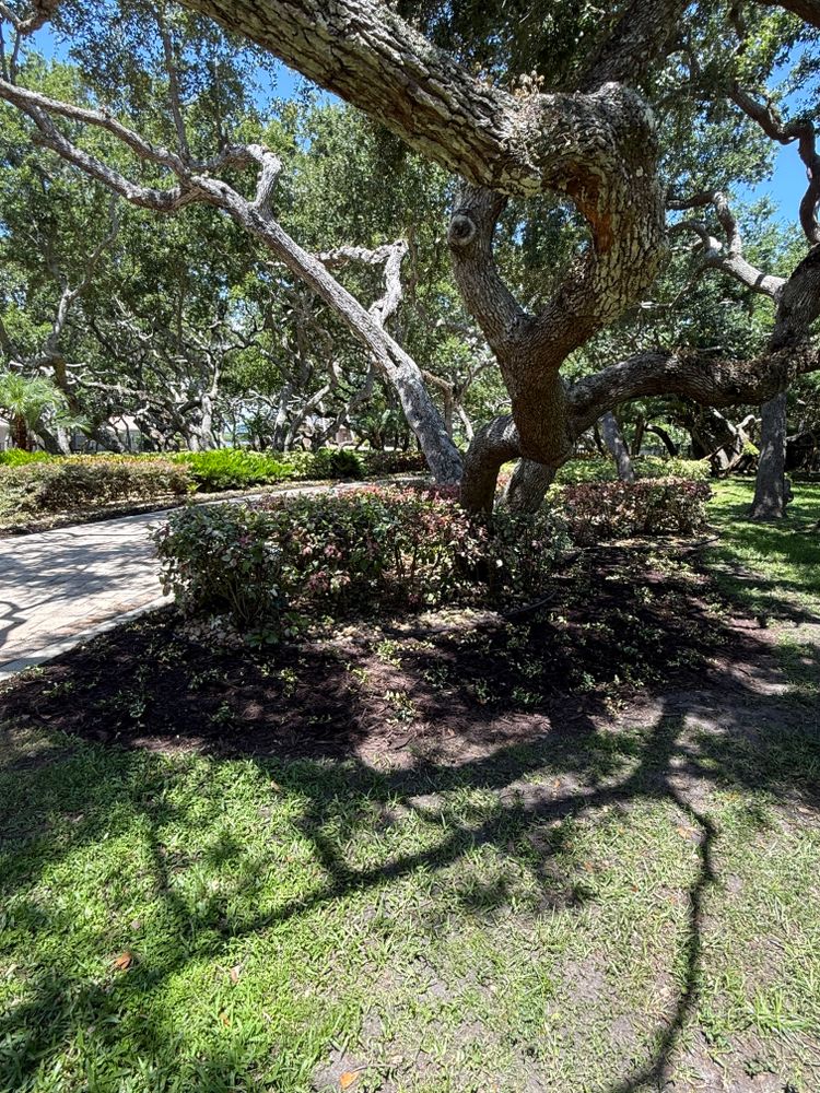 All Photos for Vanic's Landscaping in South Daytona, FL