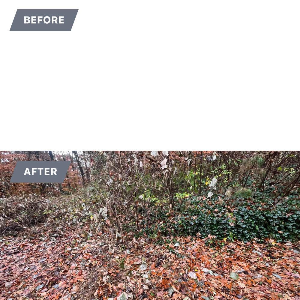 All Photos for Southern Solutions in Snellville, GA