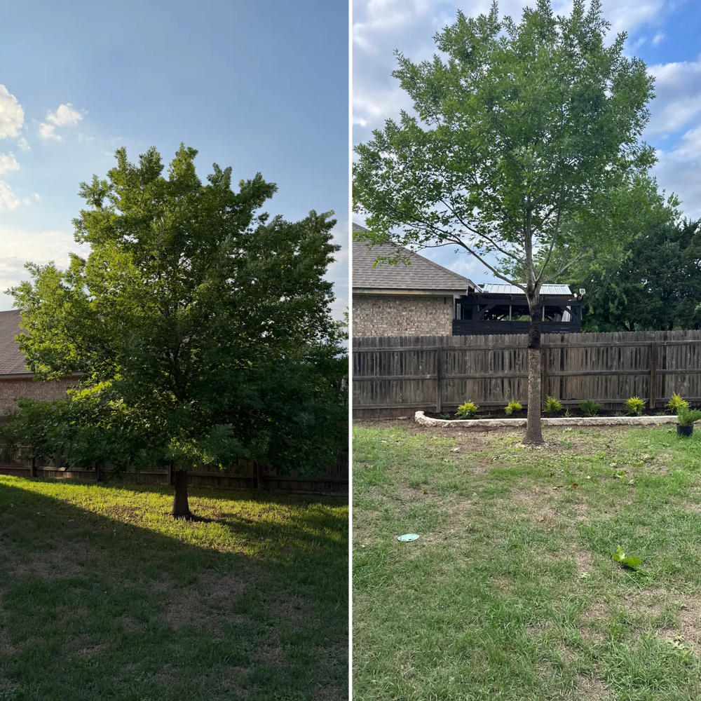 All Photos for DR Landscape in San Antonio, TX