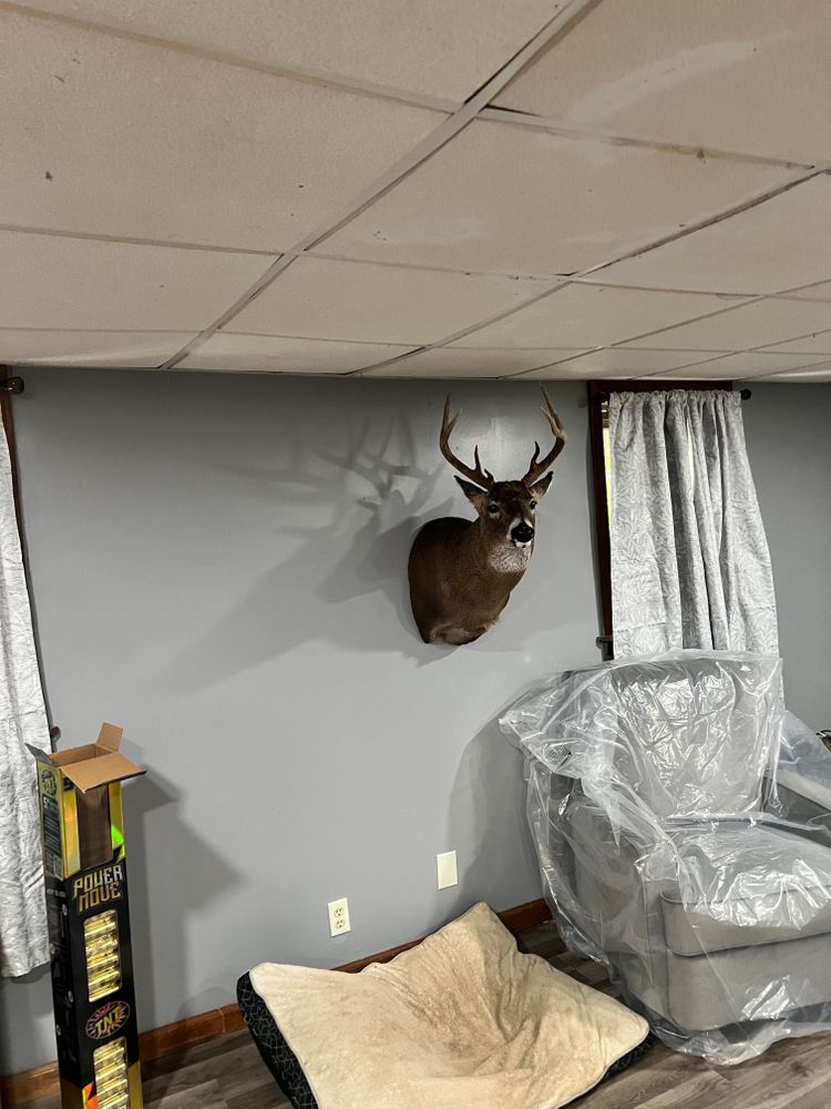 All Photos for Kadin’s Tree Service in North Vernon, IN