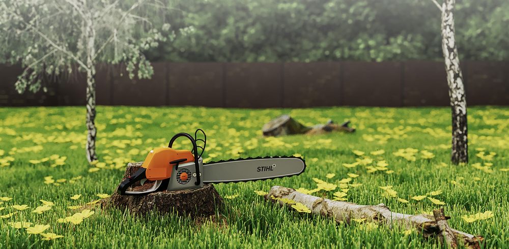 Tree Services for Fairbairn Tree trimming in Willmar, MN