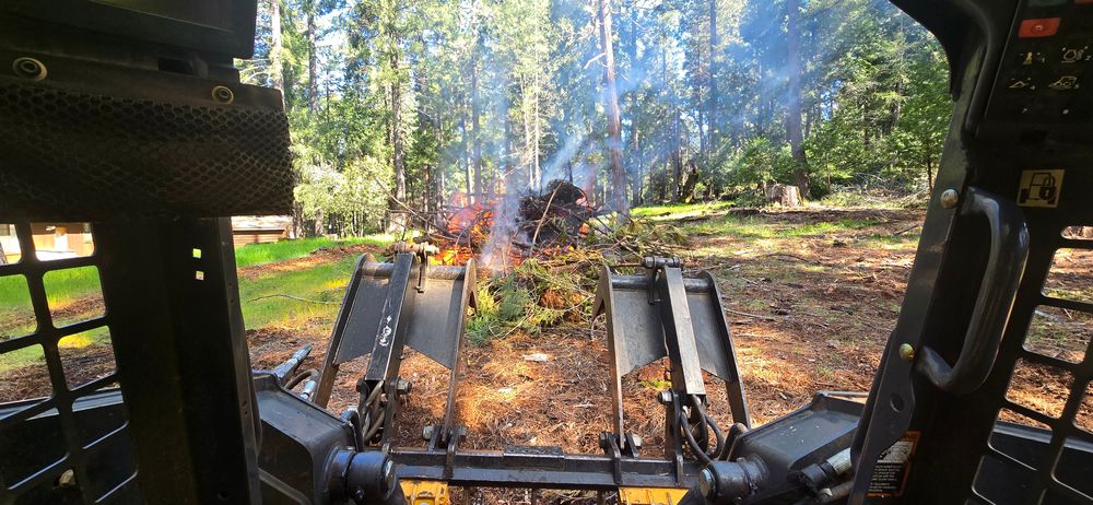 All Photos for George Staddan's Professional Tree Care in Placerville, CA