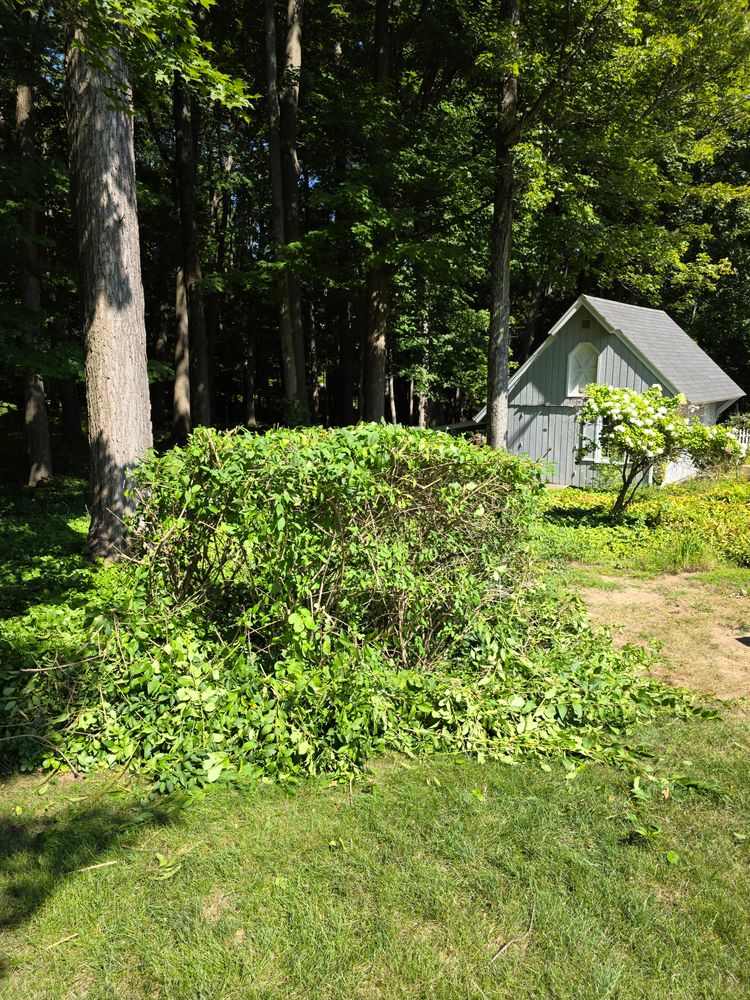 All Photos for Sweet Scapes in Ballston Spa, NY