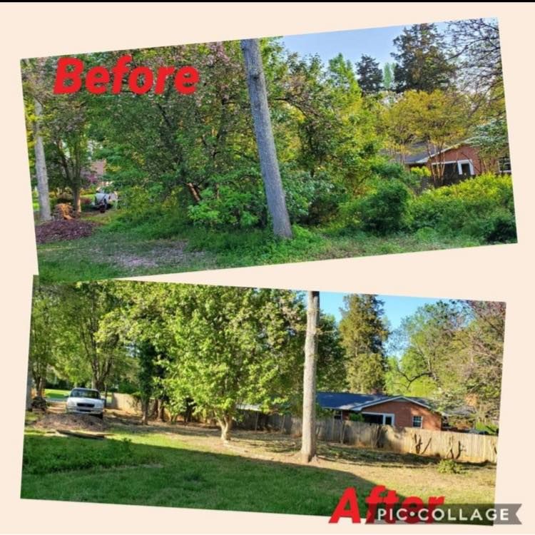 Landscaping for Olmedo Home Services in Davie County, NC