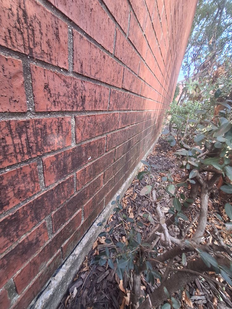 All Photos for Connected Exterior Cleaning in Mesa, AZ