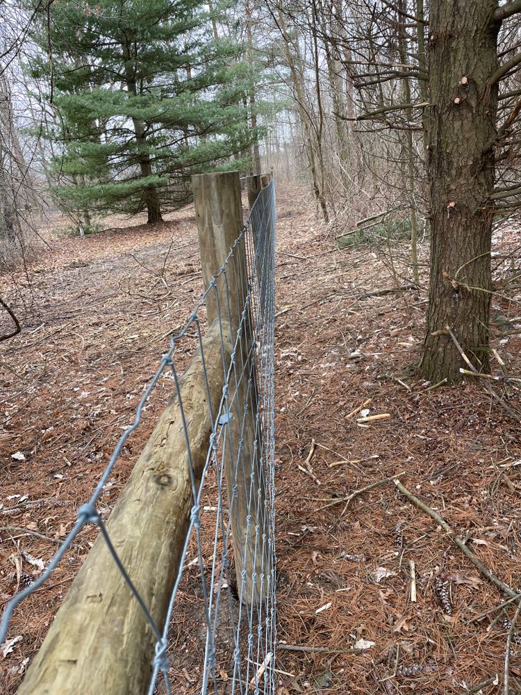 All Photos for TMF Services in Lapeer County, MI